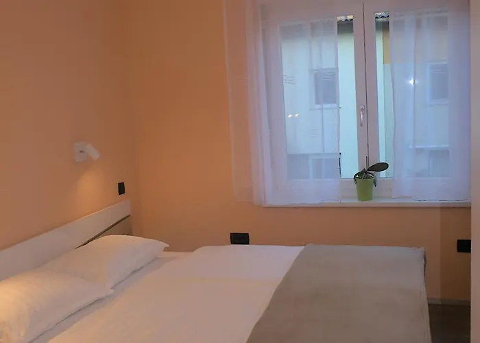 Golovec Daire Ljubljana